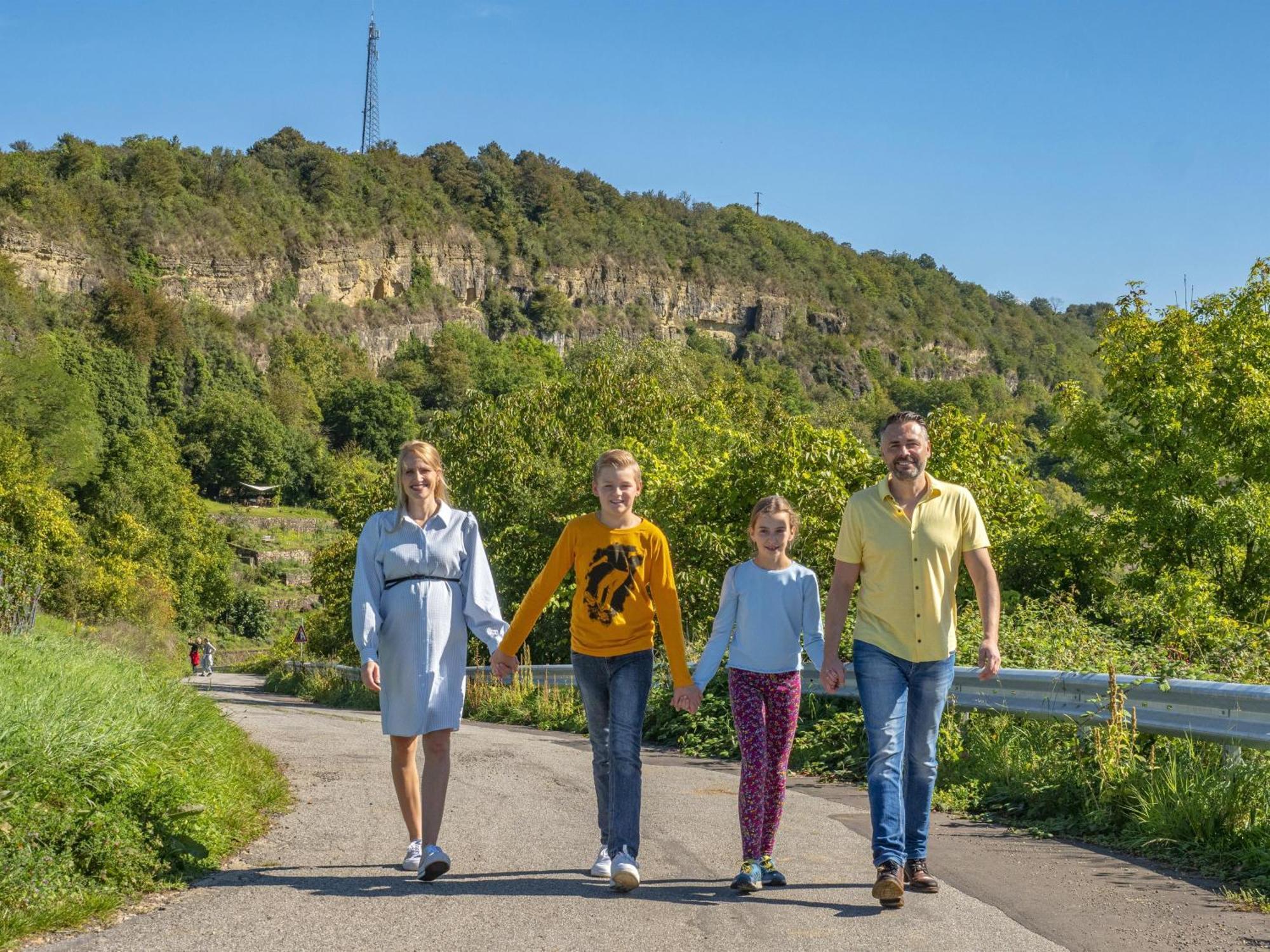 Appartements Im Weingut Frieden-Berg Nittel Εξωτερικό φωτογραφία