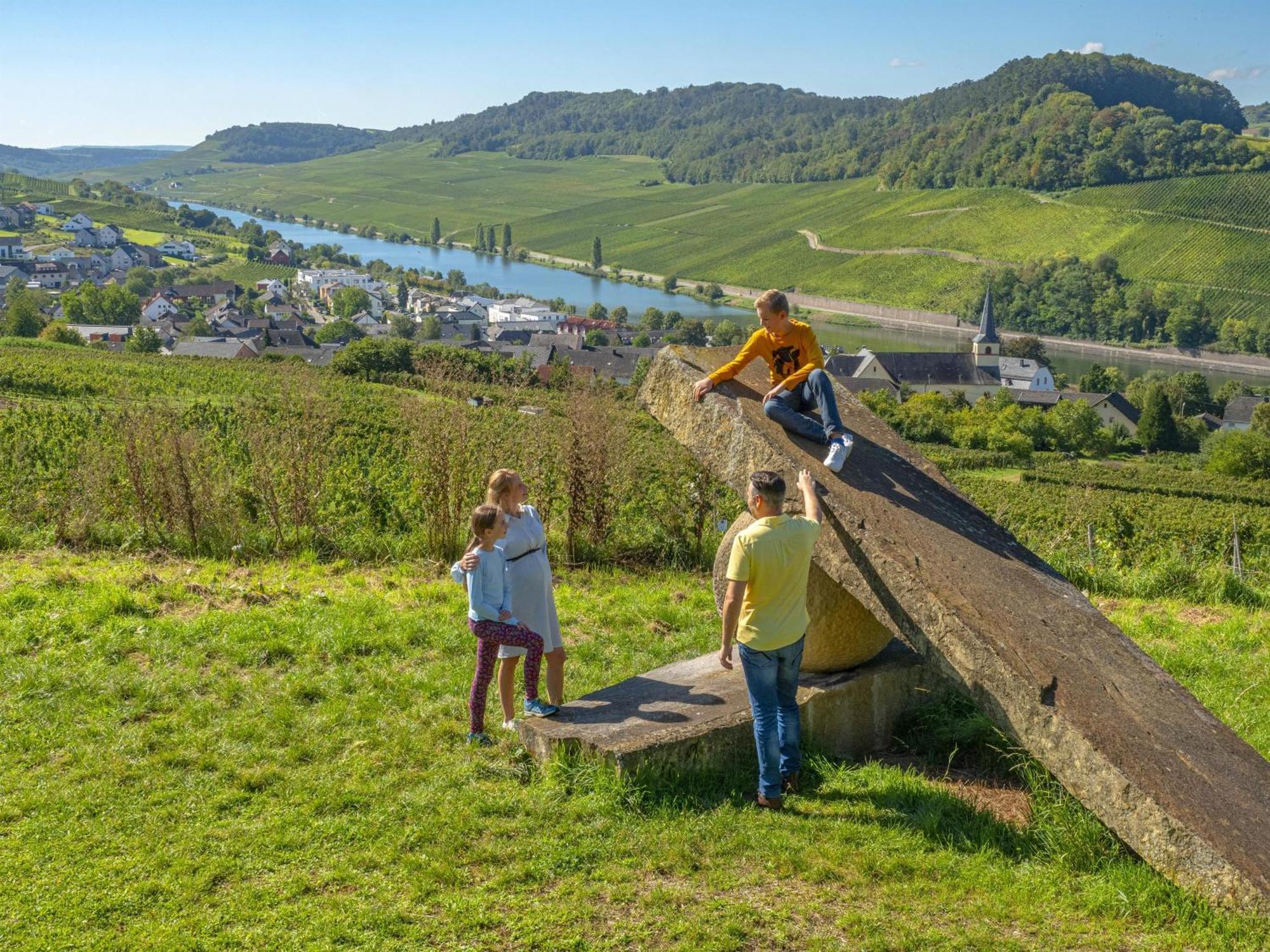 Appartements Im Weingut Frieden-Berg Nittel Εξωτερικό φωτογραφία